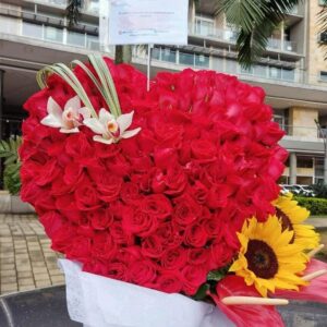 Corazón Rojo