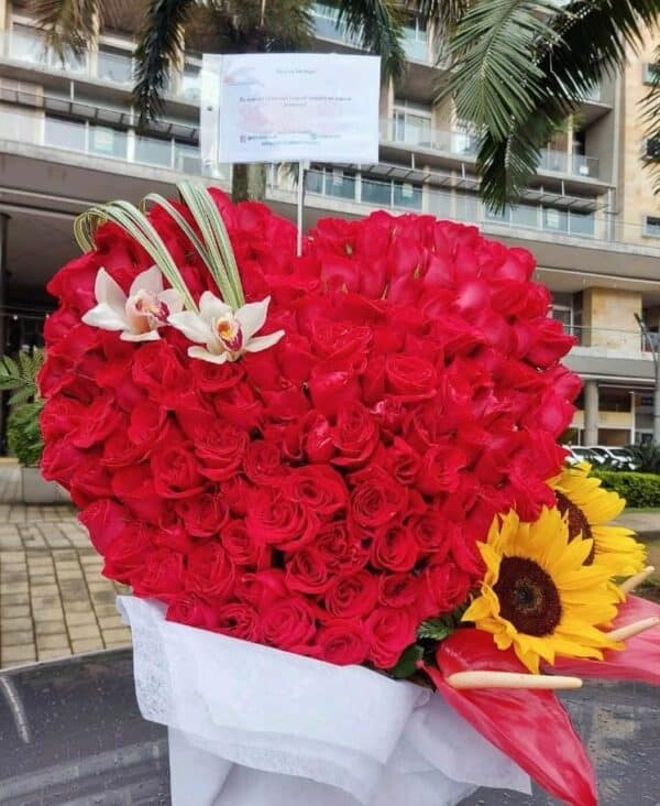 Corazón Rojo