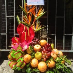 FRUTERO EXOTICO1