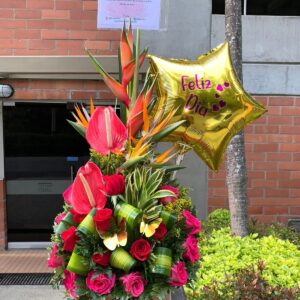 TROPICAL_8