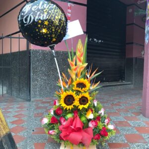 TROPICAL_2