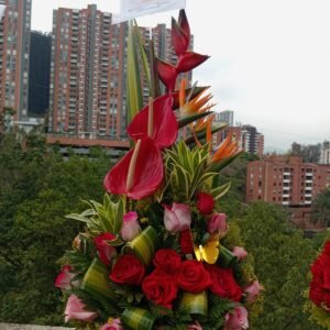 Flores Envigado